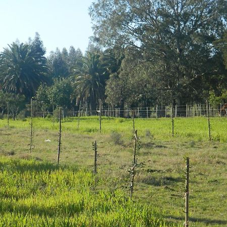 Casa De Campo Lo De Fatsia Colonia del Sacramento Oda fotoğraf