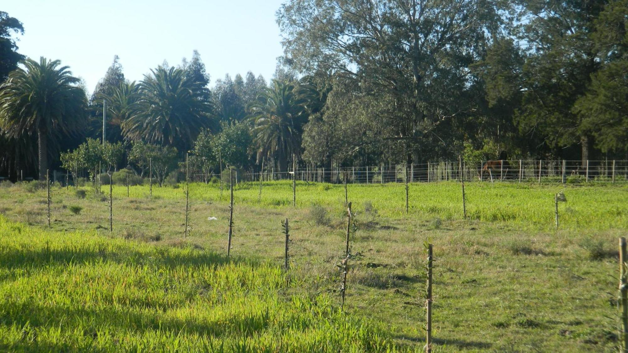 Casa De Campo Lo De Fatsia Colonia del Sacramento Oda fotoğraf